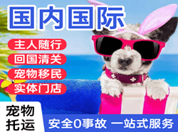 南通航空邮寄国际宠物托运 【国